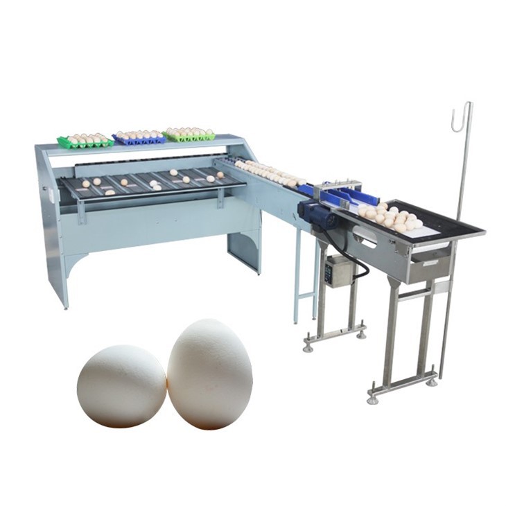 egg sorter