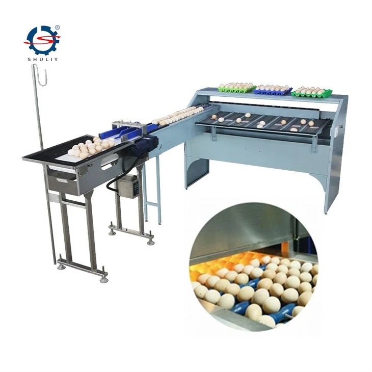 egg sorting grading machine4