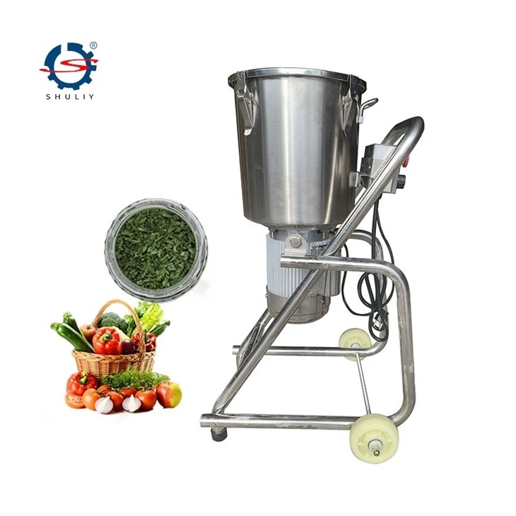 Industrial Fruit Blender Machine2
