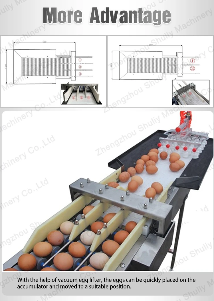 304 stainless steel egg sorting machine 304 stainless steel egg sorting machine